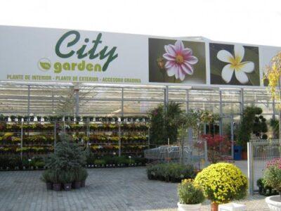 citygarden magazin plante