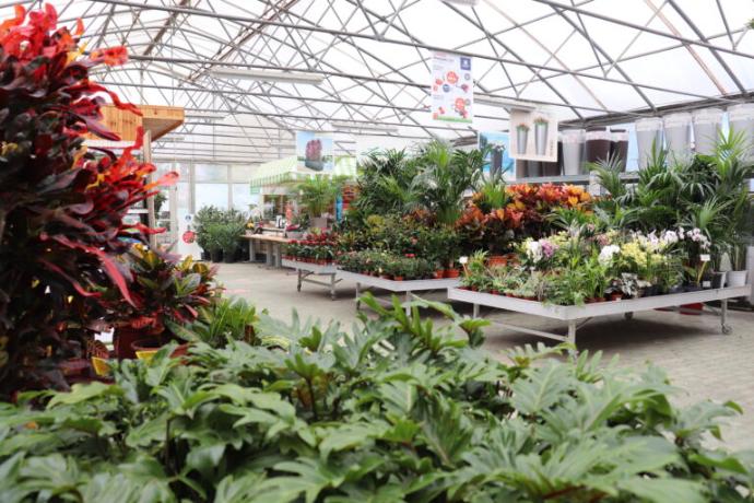 sera plante citygarden